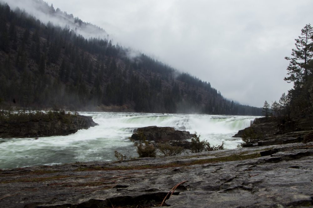 a river with a waterfall and trees