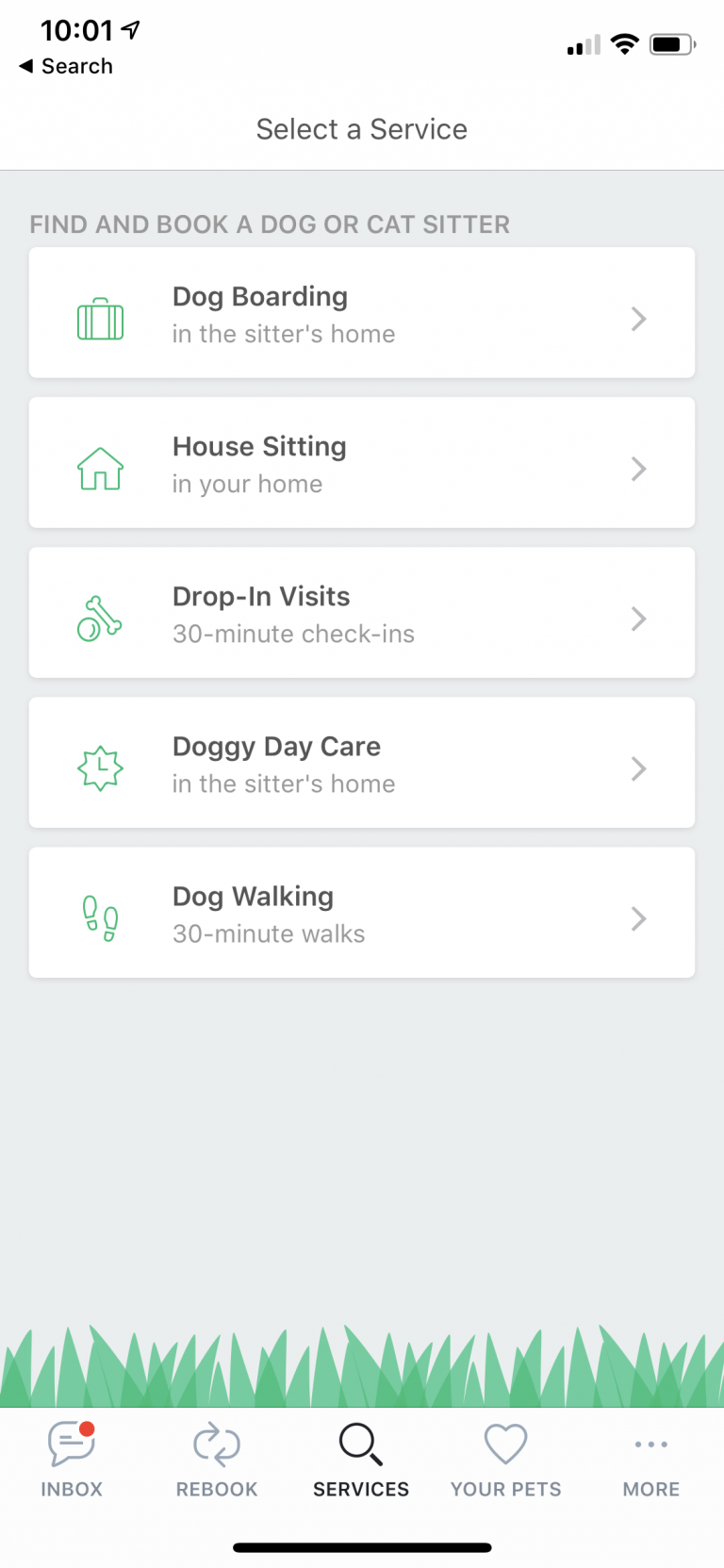Rover App Review for Cat Sitting Travel After Five