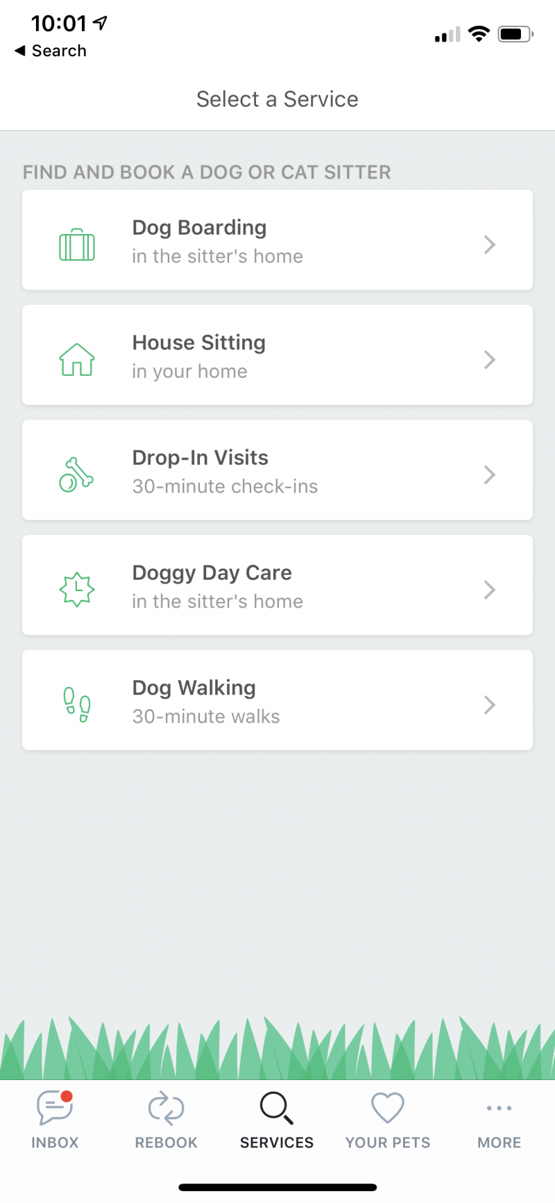 Rover App Review for Cat Sitting Travel After Five