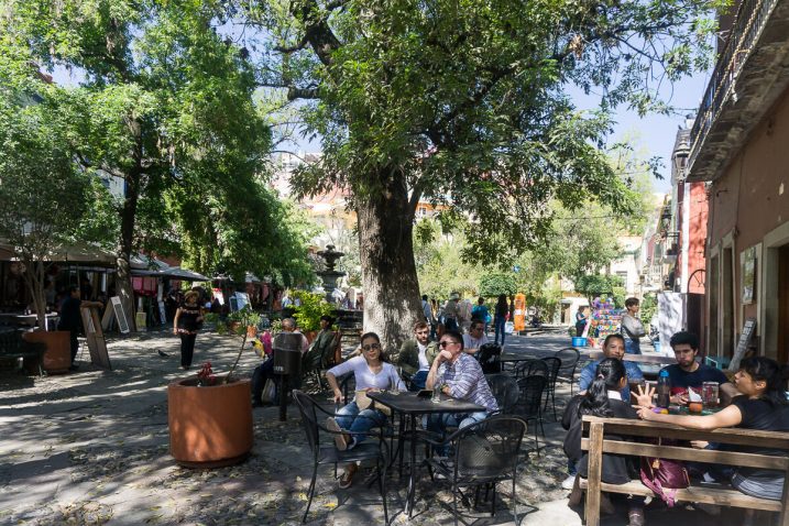 a group of people sitting at tables under a tree
