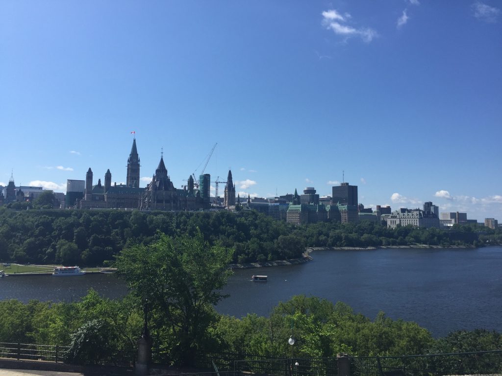 a city with trees and water