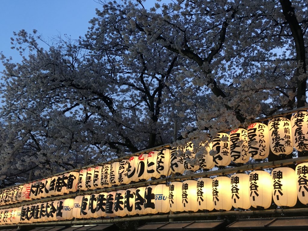 Tokyo Evening