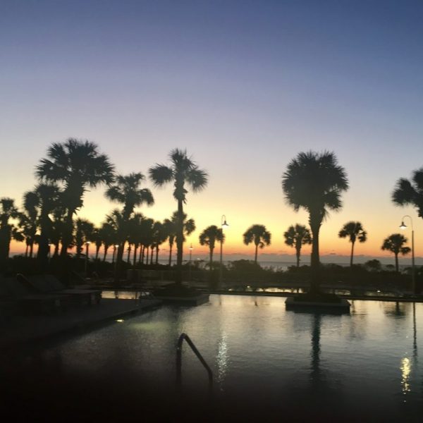 a pool with palm trees and a sunset