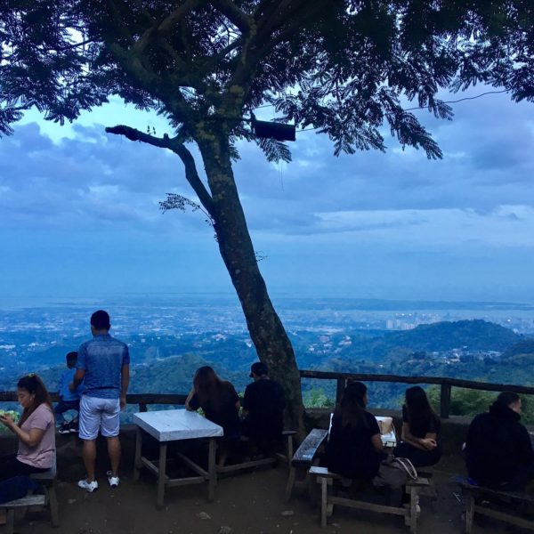 people sitting on a bench under a tree overlooking a city