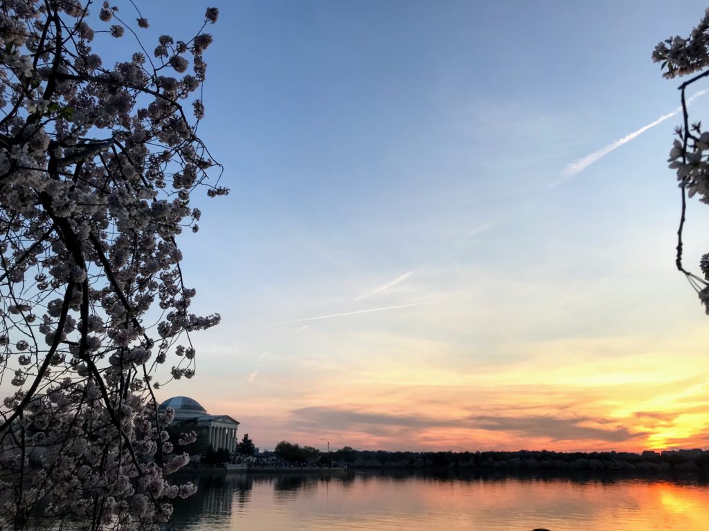 Tidal Basin - what to do in Washington DC at night