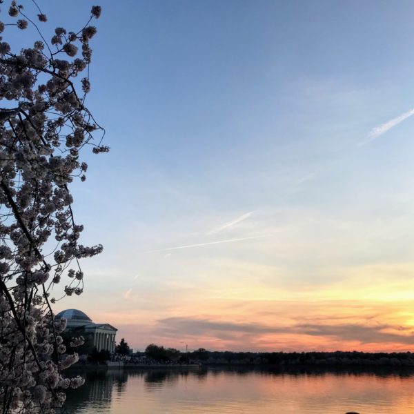 Tidal Basin in Washington D.C. Evening