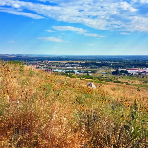 Fort Collins, CO After Work