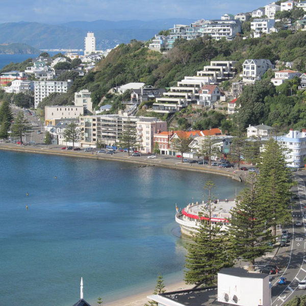 Things to do in Wellington, New Zealand After Work