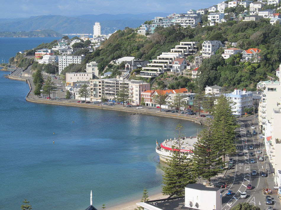 Things to do in Wellington, New Zealand After Work