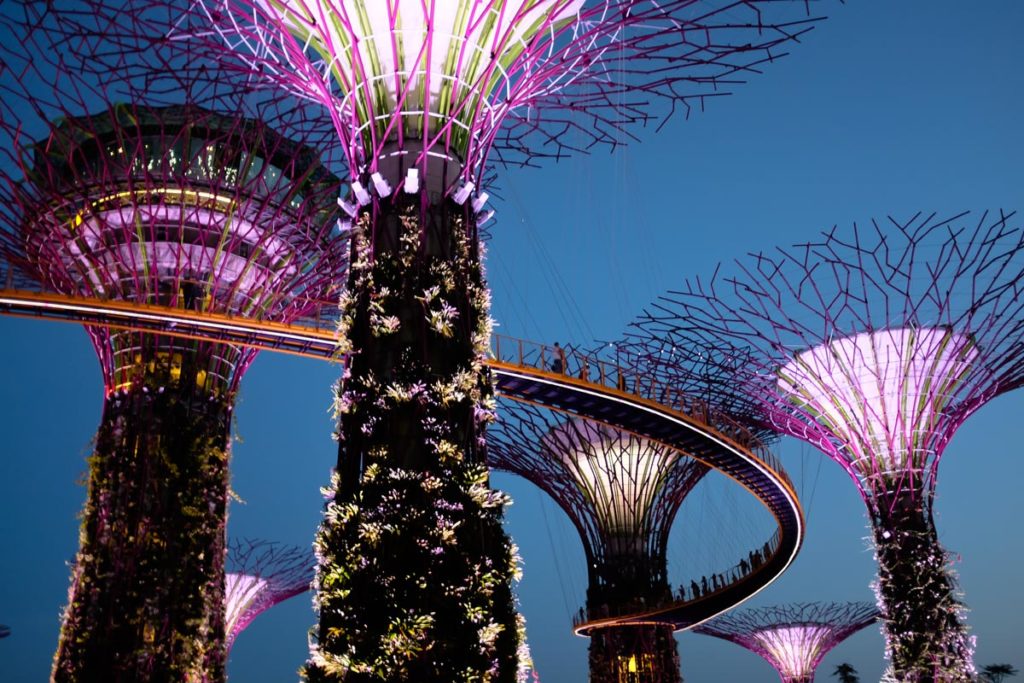 Supertree Grove at Gardens By the Bay in Singapore