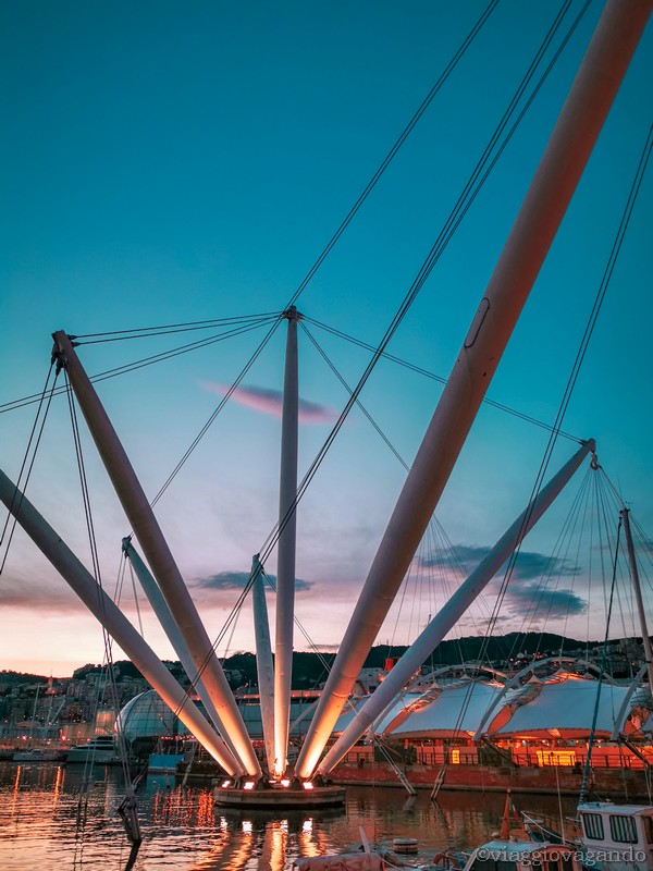 a large white structure with many poles