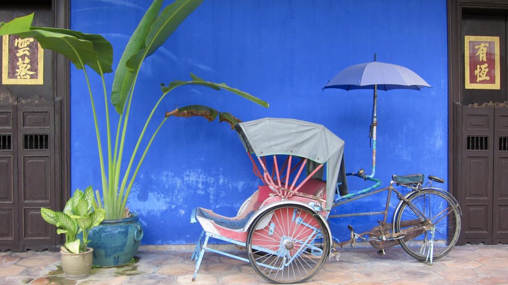 a bicycle with an umbrella and a plant in front of a blue wall