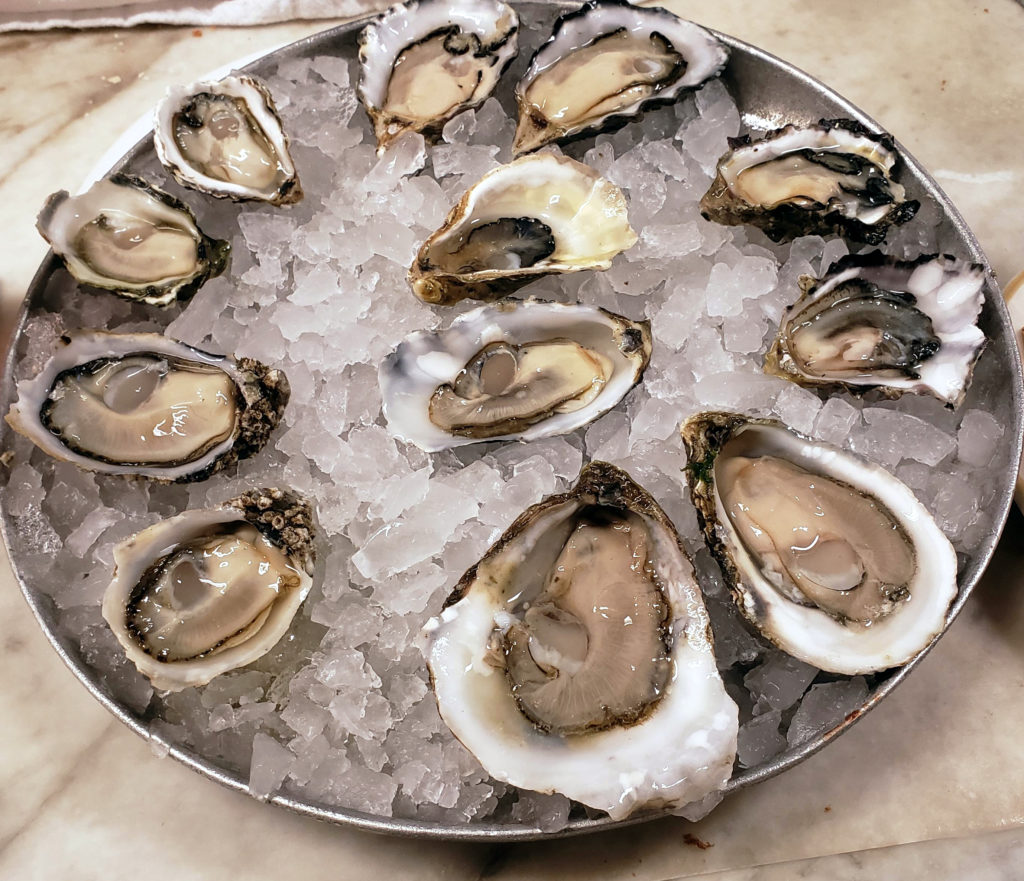 a plate of oysters on ice