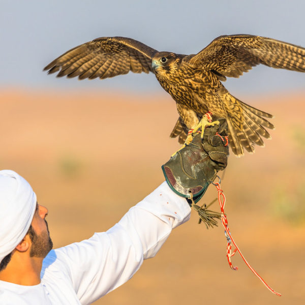 a man holding a bird