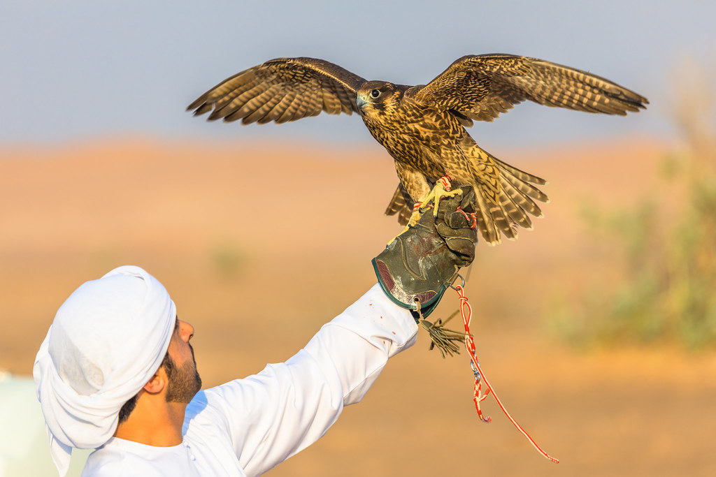 a man holding a bird