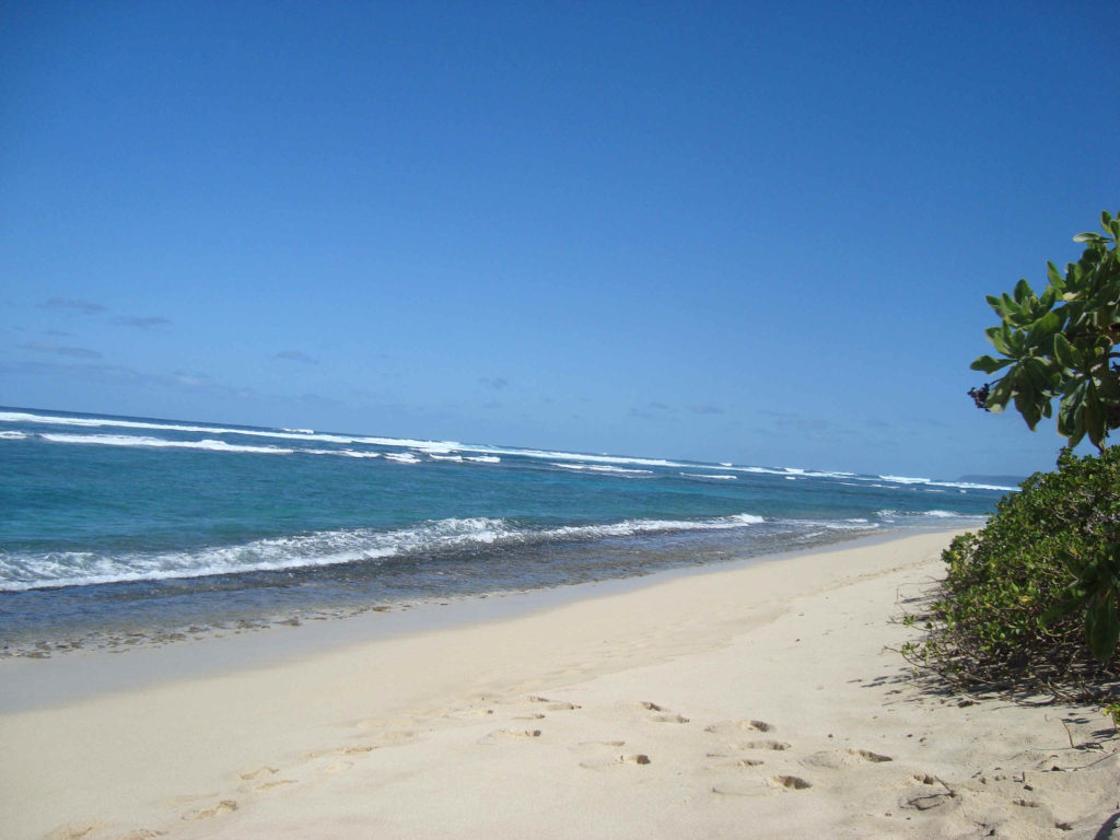 Ocean and sand from Mokule'ia Beach Park, a site to visit at the north shore in Oahu