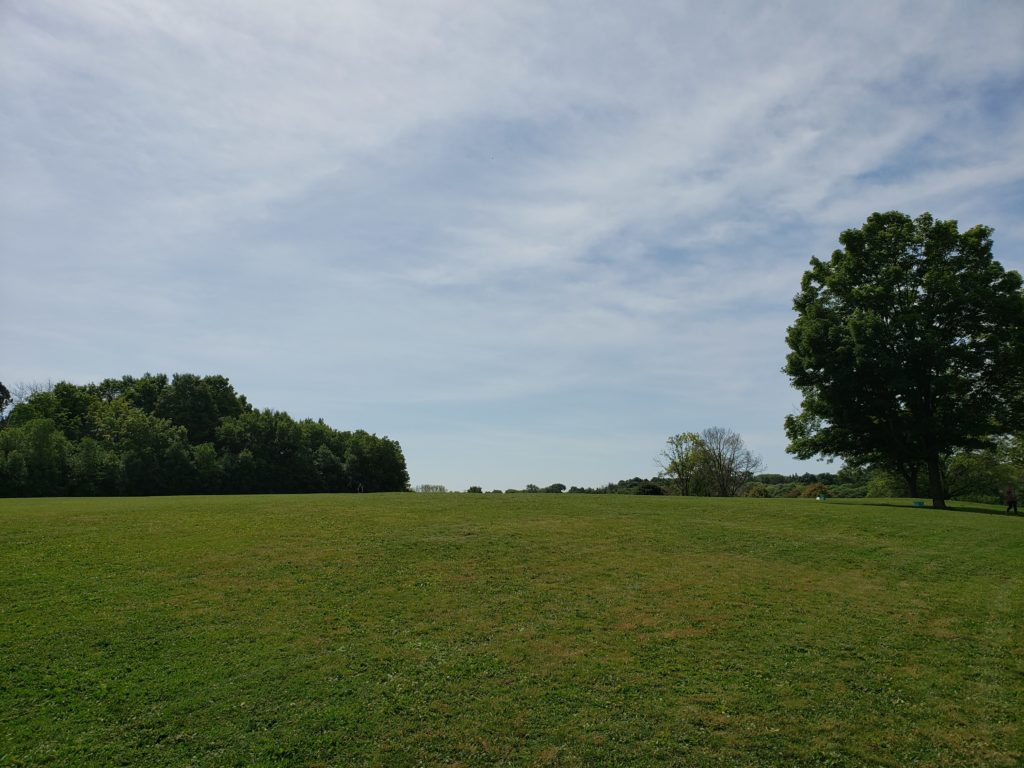 a large grassy field with trees in the background