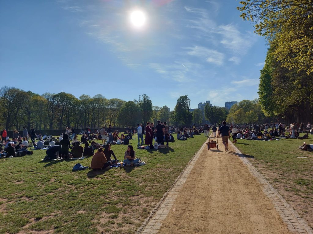 a group of people sitting on grass in a park