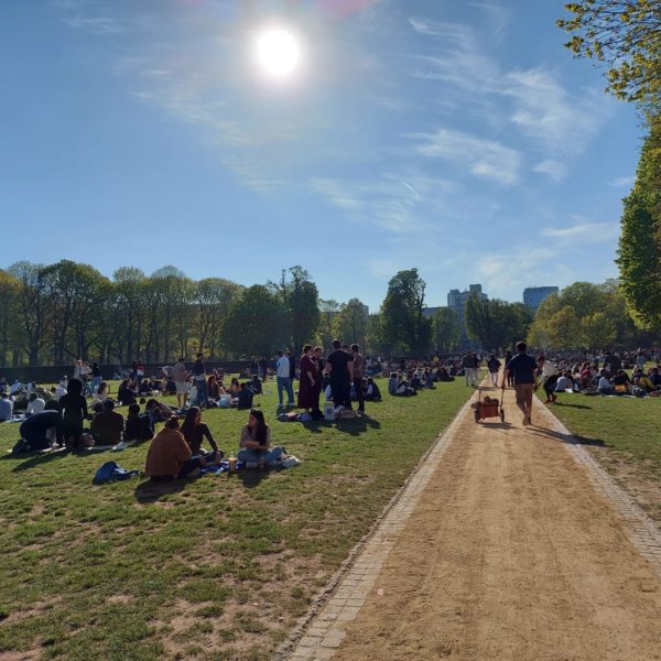 a group of people sitting on a path in a park