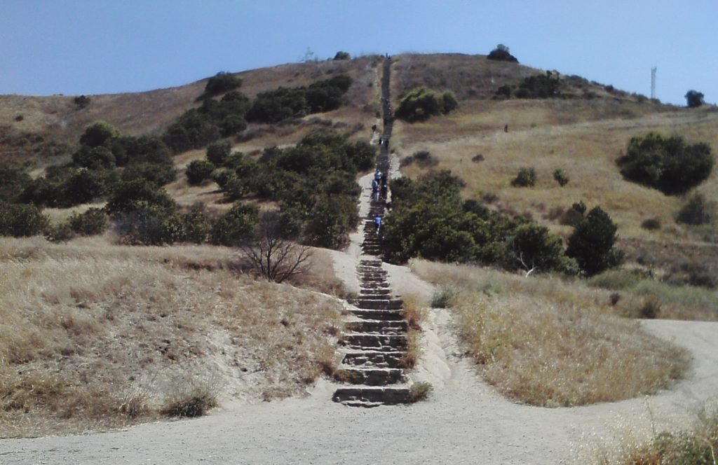 a group of people climbing up a hill