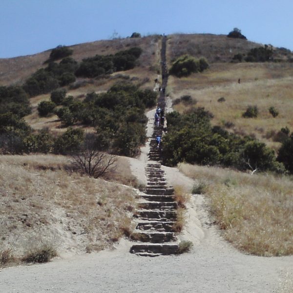 a group of people climbing up a hill