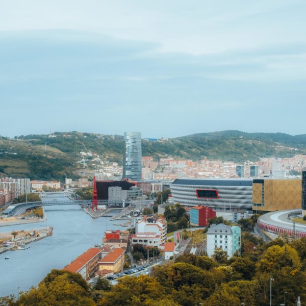 a city with a river and trees