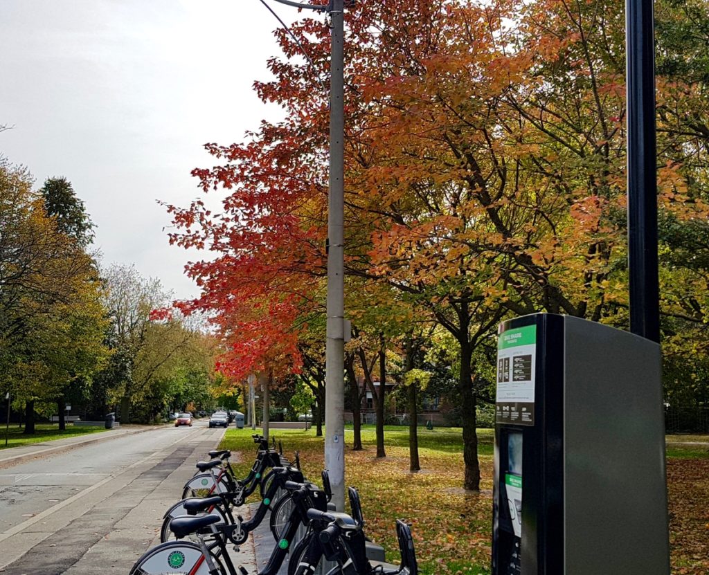 a row of bicycles parked on a sidewalk