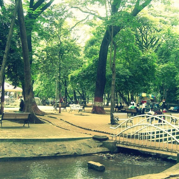 a bridge over a stream in a park