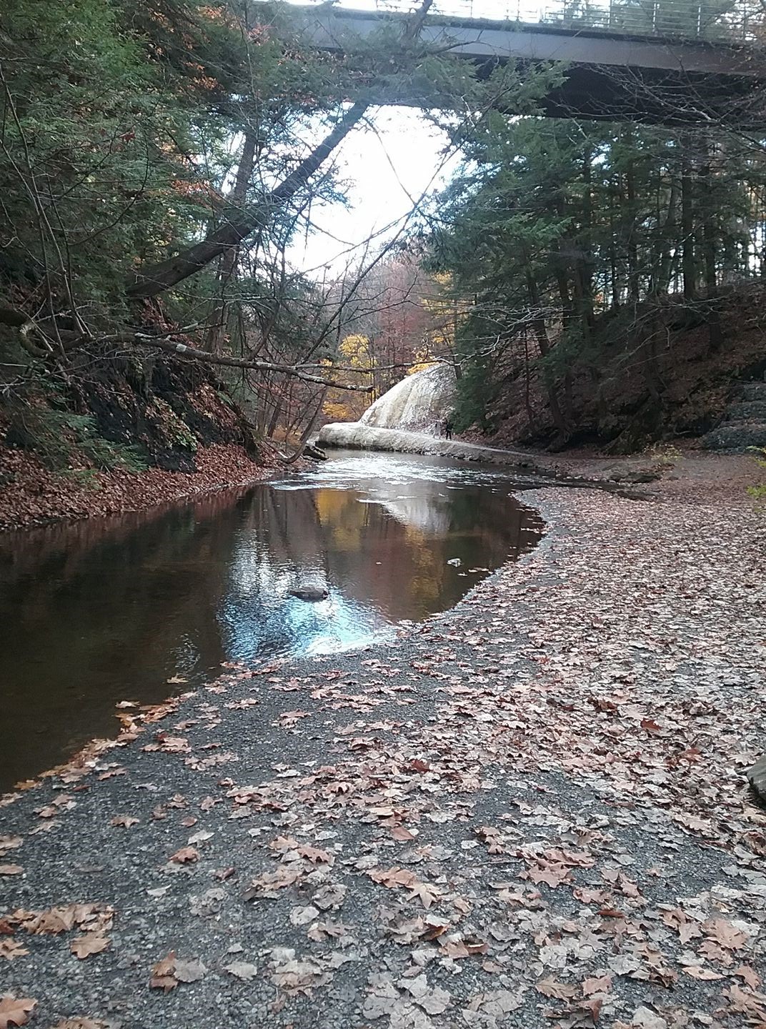 albany-saratoga-springs.jpg